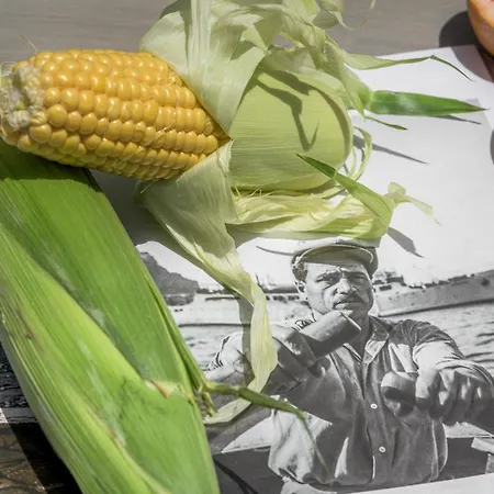 Alkyonis Visus House Appartement *