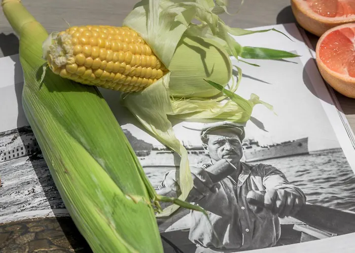 Alkyonis Visus House Lägenhet *